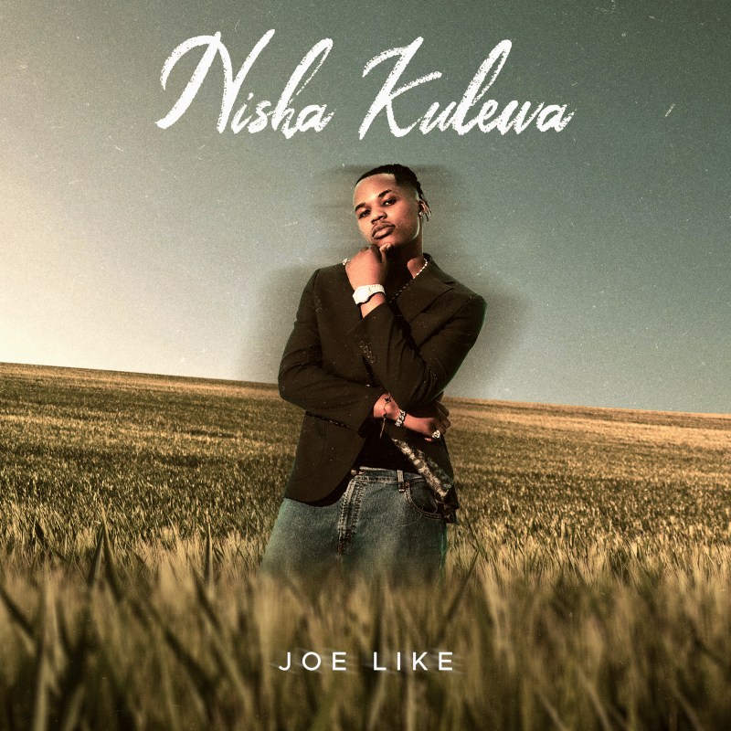 Nisha Kulewa — Joe Like cover art